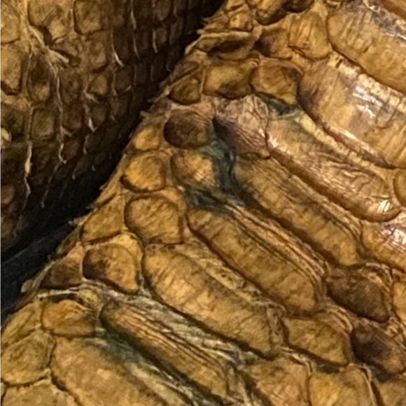 Tony lama python boots size 9d - Picture 8 of 8